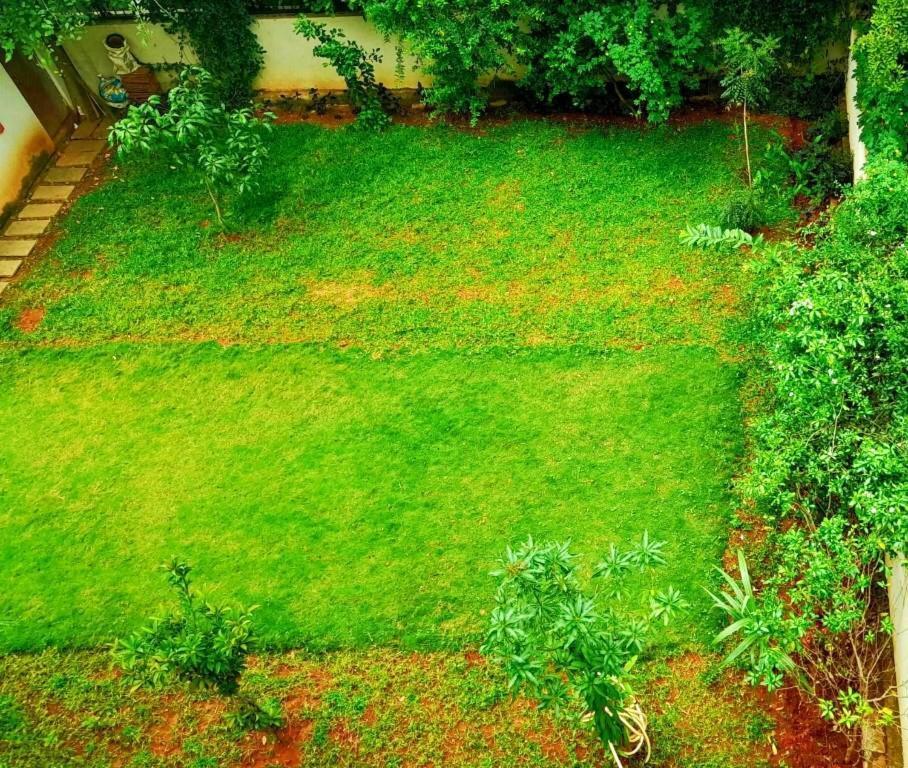 Tulip Villa Bangalore Exteriör bild